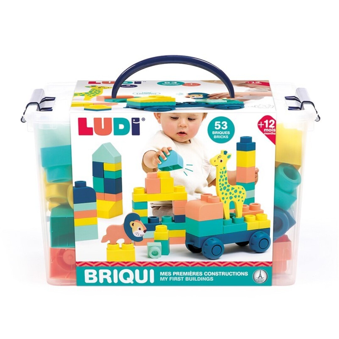 Mis primeras construcciones - Ludi