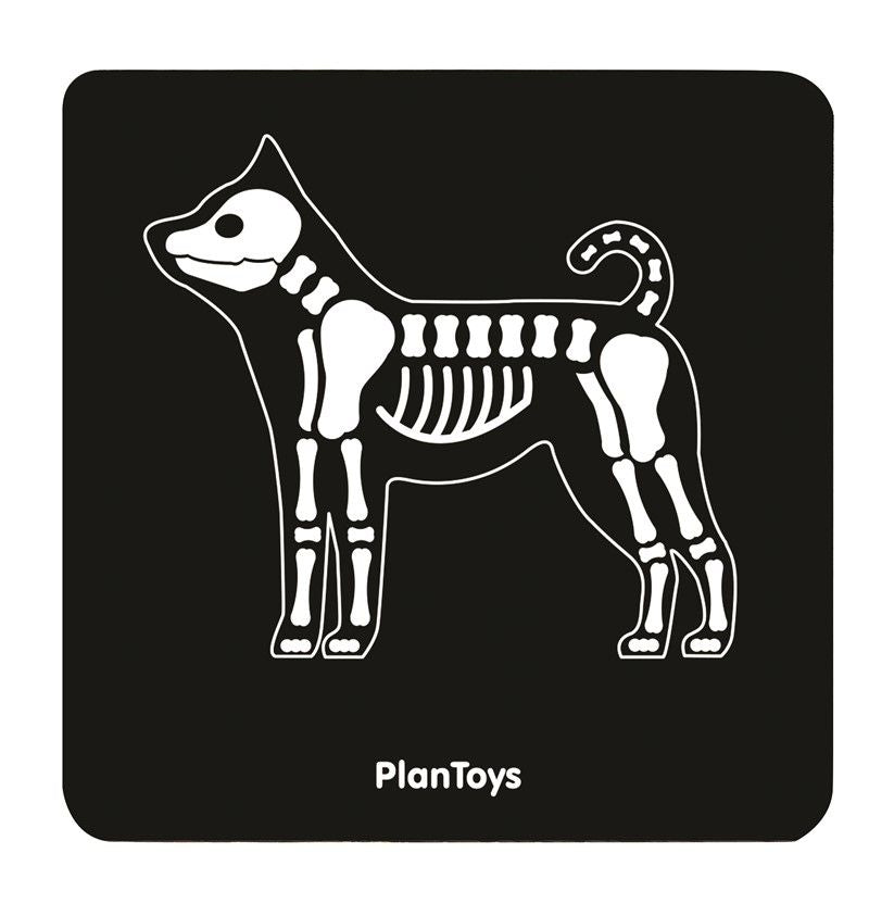 SET-VETERINARIO-PLANTOYS3-thumbnail-2000x2000-80.jpeg