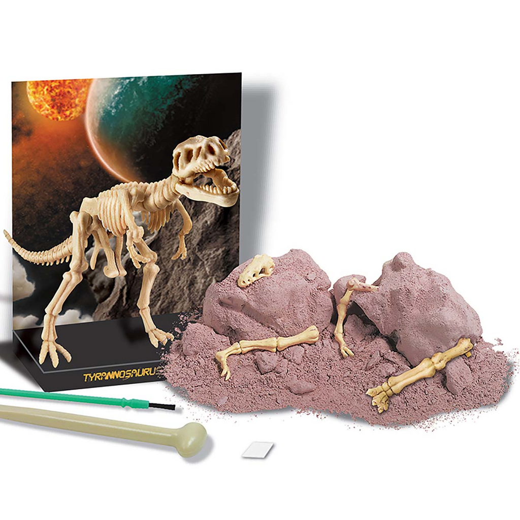 Kit de Paleontología Tiranosaurio Rex - 4M