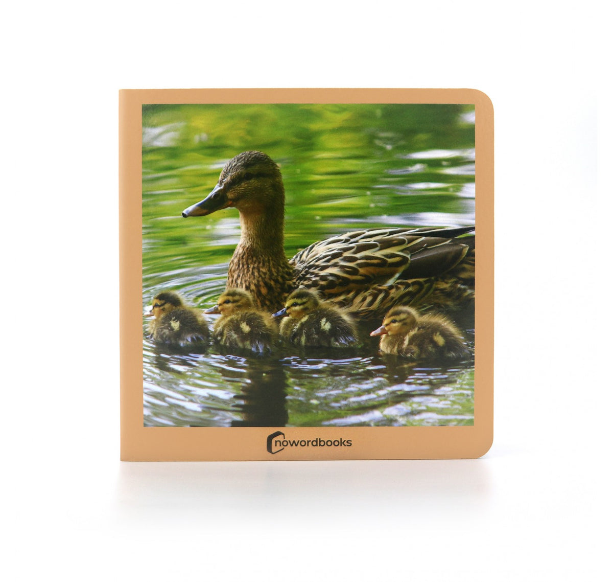 Animales en familia - Nowordbooks