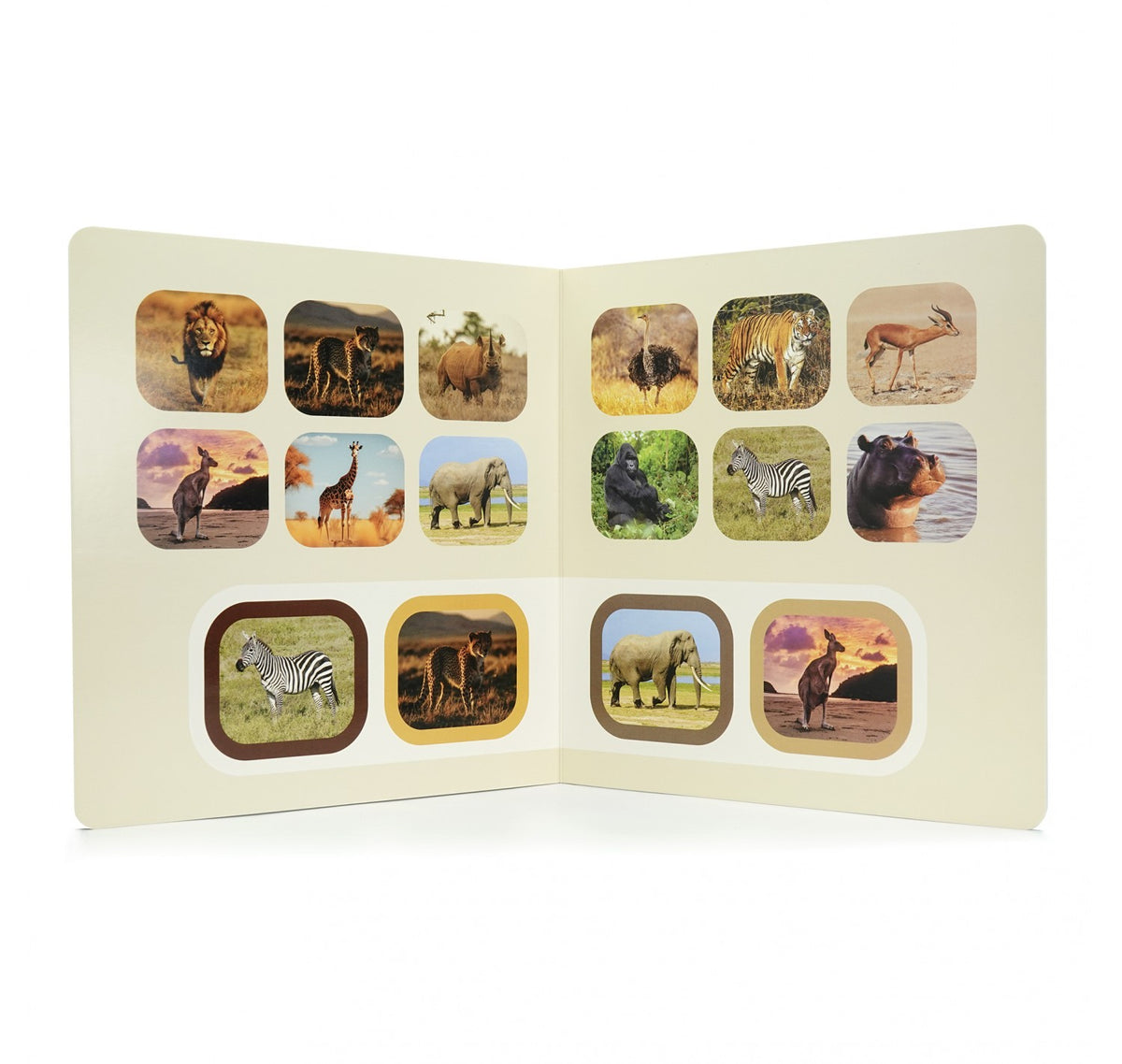 Busca y encuentra: Animales salvajes - Nowordbooks