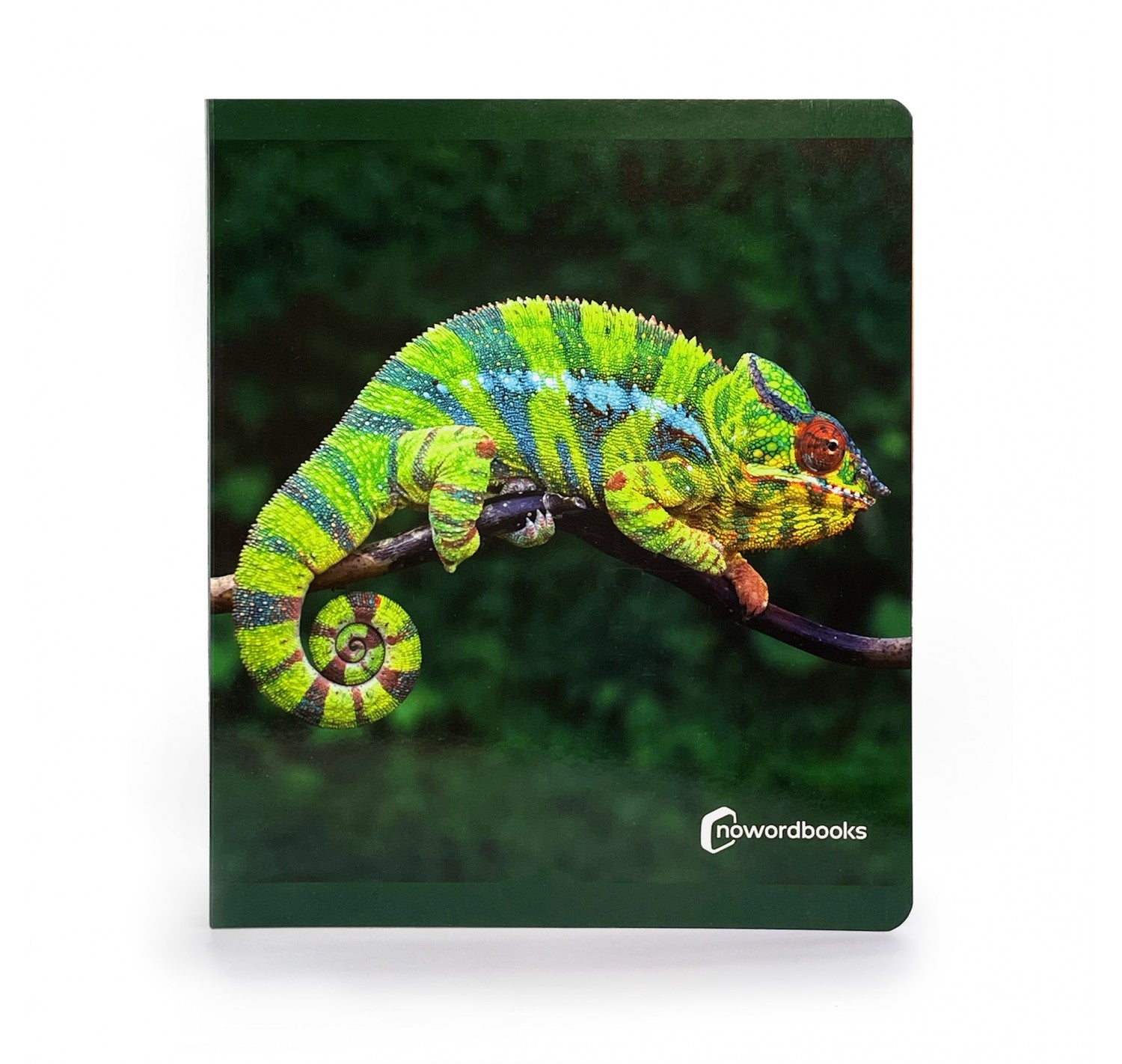 Animales de la selva - Nowordbooks